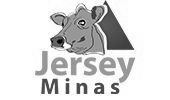 Núcleo de Fomento Jersey Minas