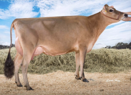 Evolução da avaliação genética em gado de leite