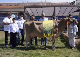 3ª Etapa do Circuito Nacional da Raça Jersey STgenetics 2022 foi um Sucesso
