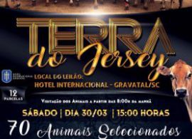 Terra do Jersey apresenta: 2° Leilão Presencial Virtual!