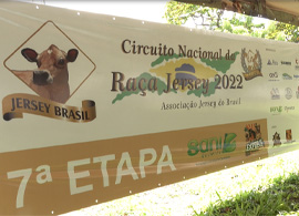 Resultados Expoece 2022