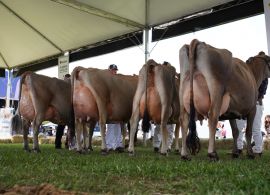 2ª Etapa Calbos do CNRJ 2023 foi destaque no Rio Grande do Sul