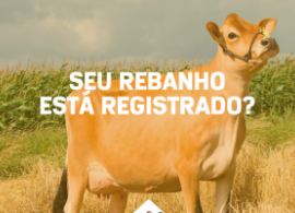 Seu rebanho está registrado?