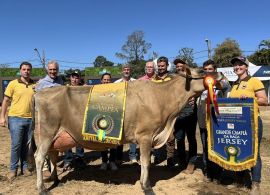 CNRJ - Etapa Jersey Minas se tornou destaque na Megaleite 2024