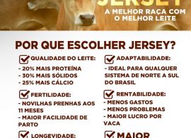 Por que escolher Jersey? 